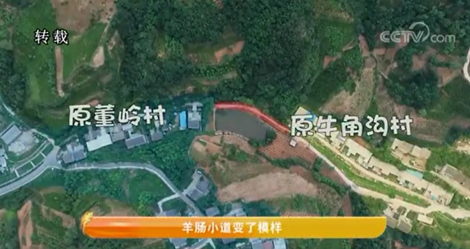  《印象乡村》羊肠小道变了模样