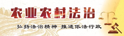 农业农村法治