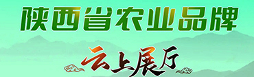 beat365体育官方网站_365bet真人平台_正规365没有黑钱农业品牌云上展厅