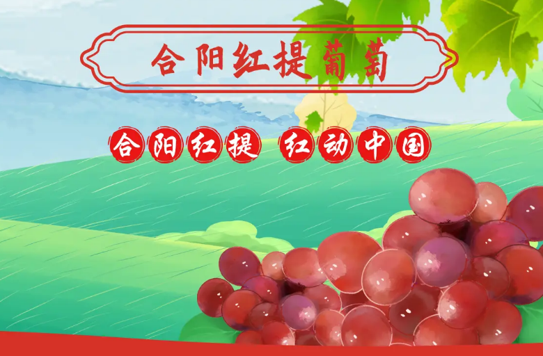 合阳葡萄.png